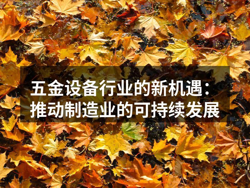 五金设备生产线的现代化展示